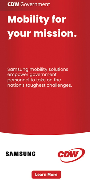 Samsung government