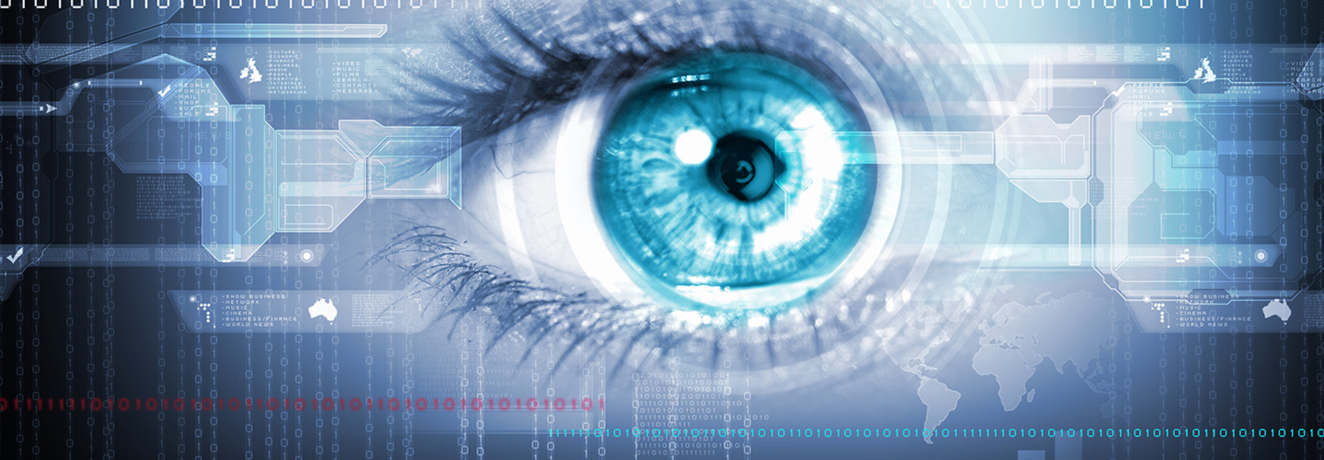 Biometrics and iris scanning 