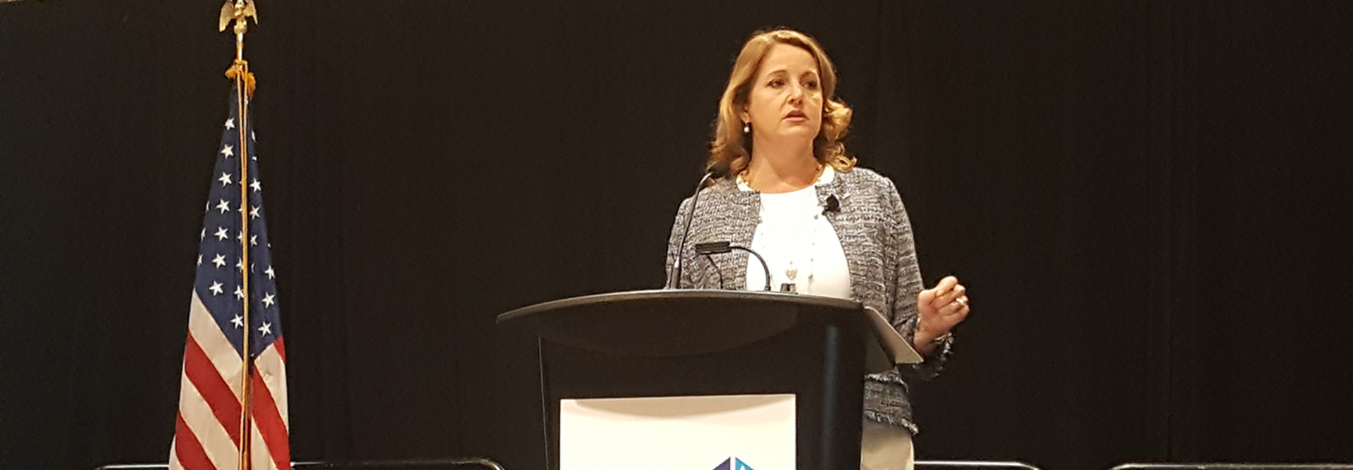 Federal CIO Suzette Kent