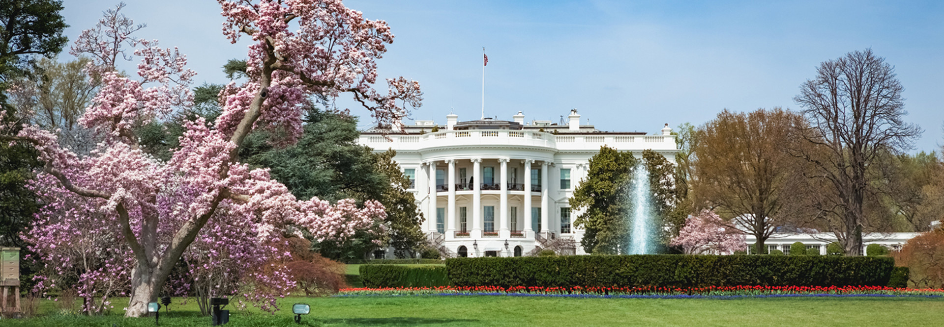 White House 2020 budget 