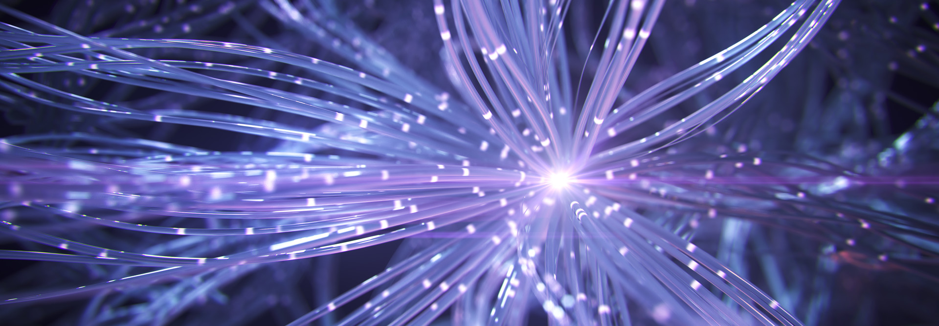 Purple neural network
