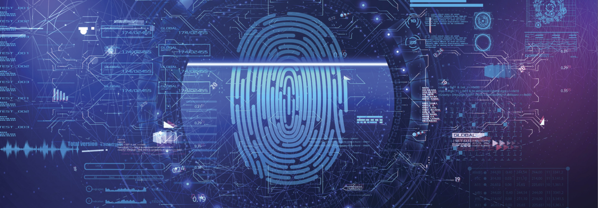 Biometric identity 