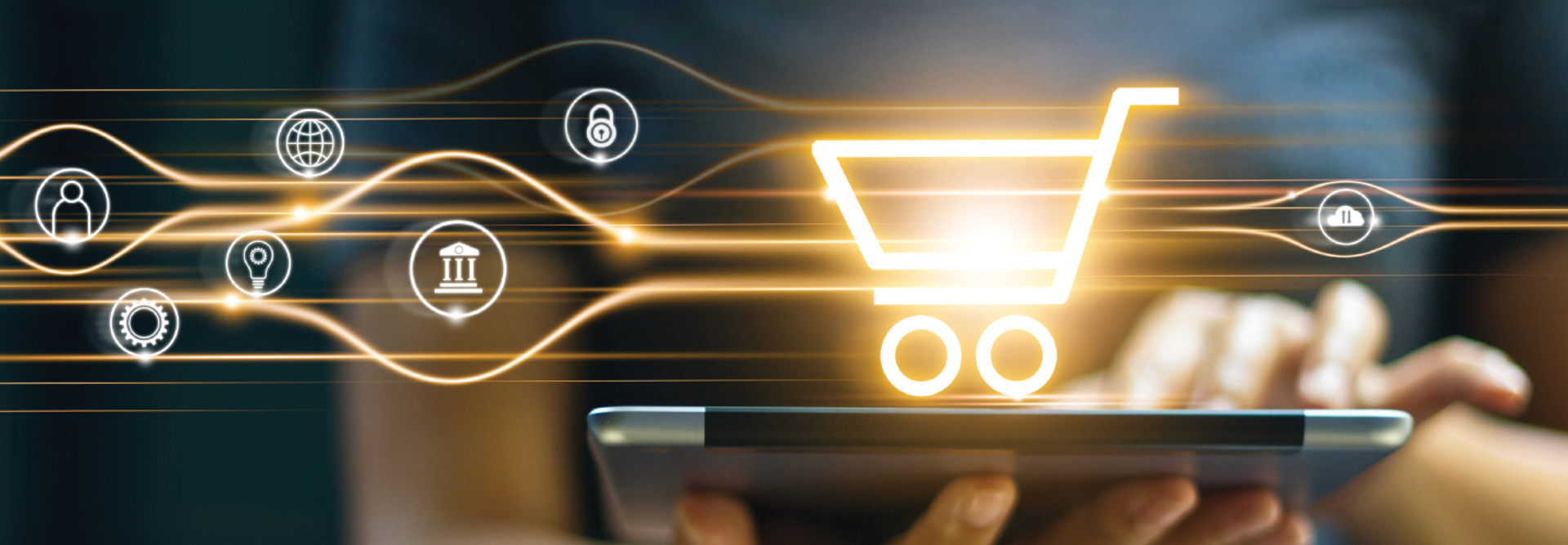 E-commerce in government 