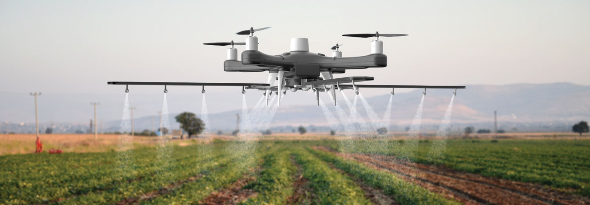 drone in a field 