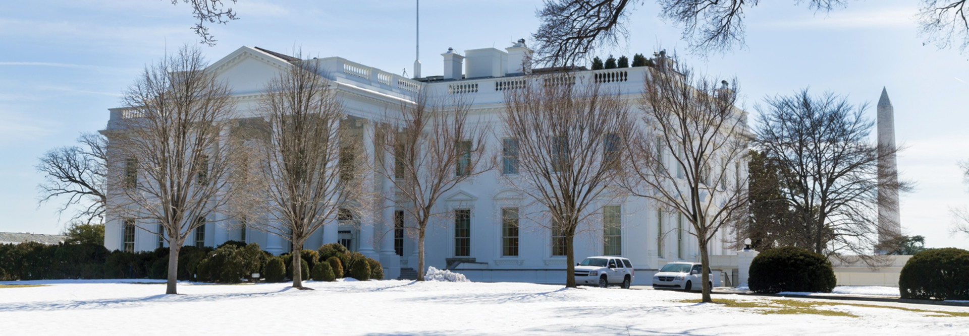 White House 