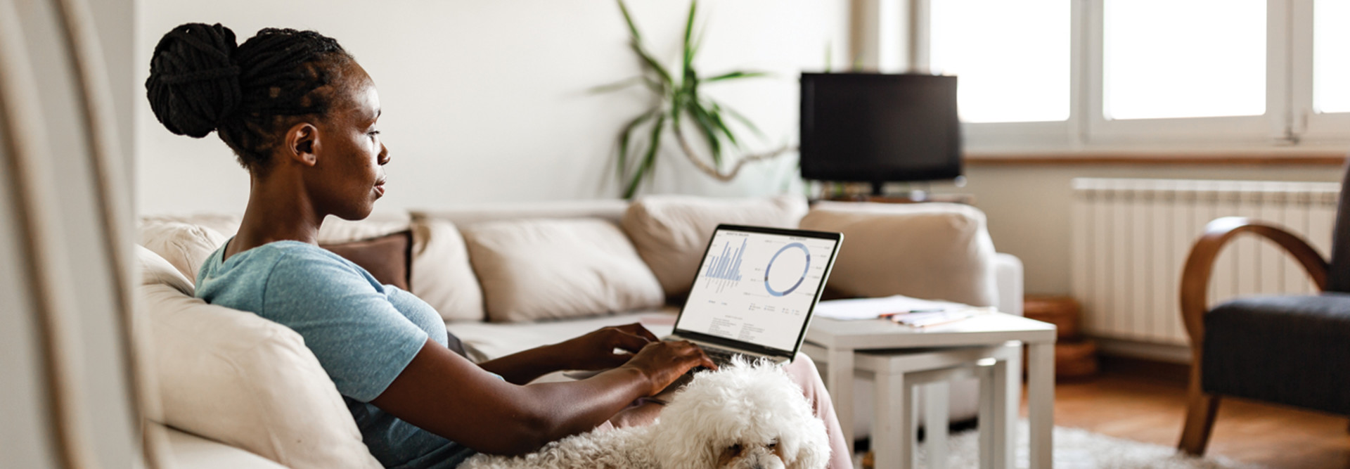 telework 
