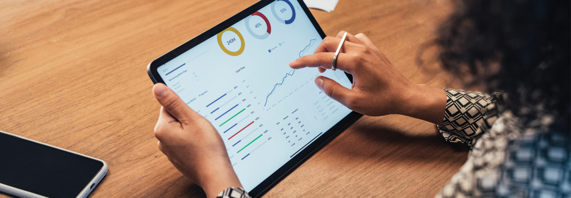 Government data analysis 