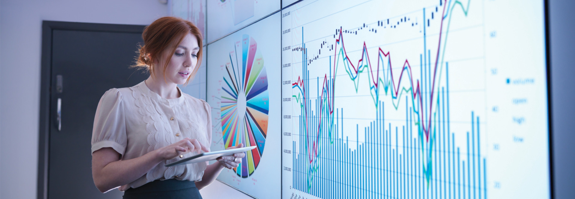 Chief Data Officer 