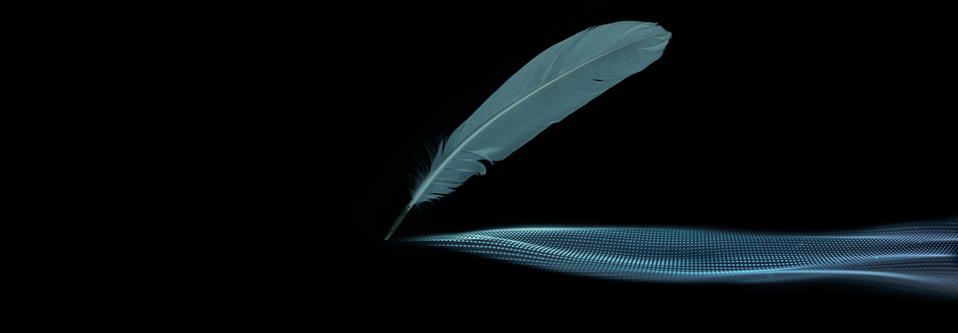 electronic signatures 