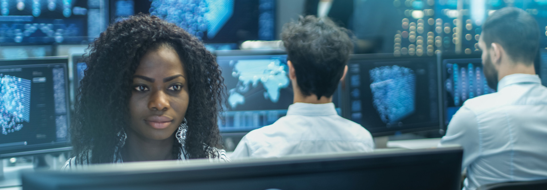 Government technology workers 