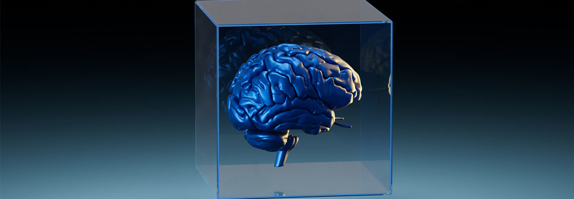 Artificial Intelligence Machine Learning
