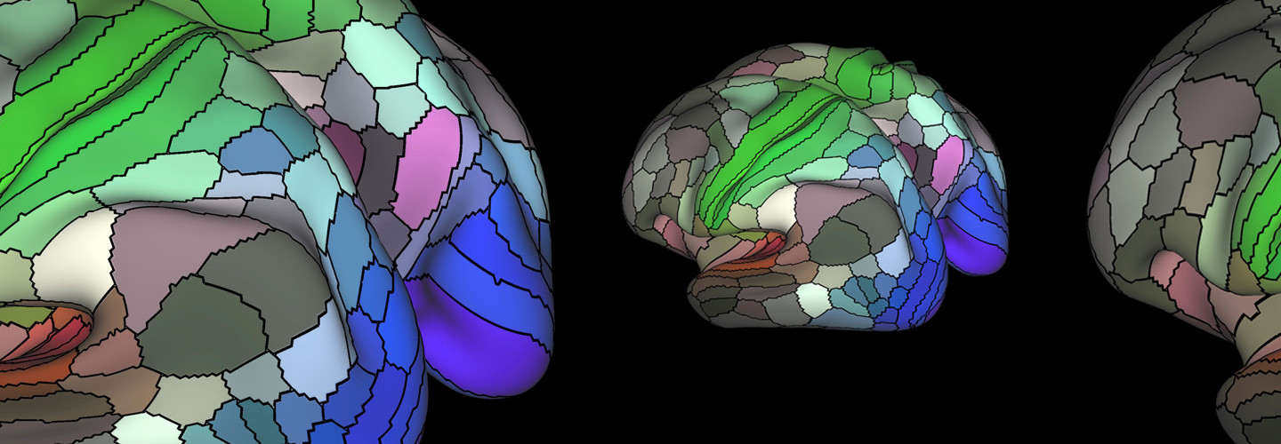 This map of the 180 areas of the human cortex was developed from research data funded by the National Institutes of Health.
