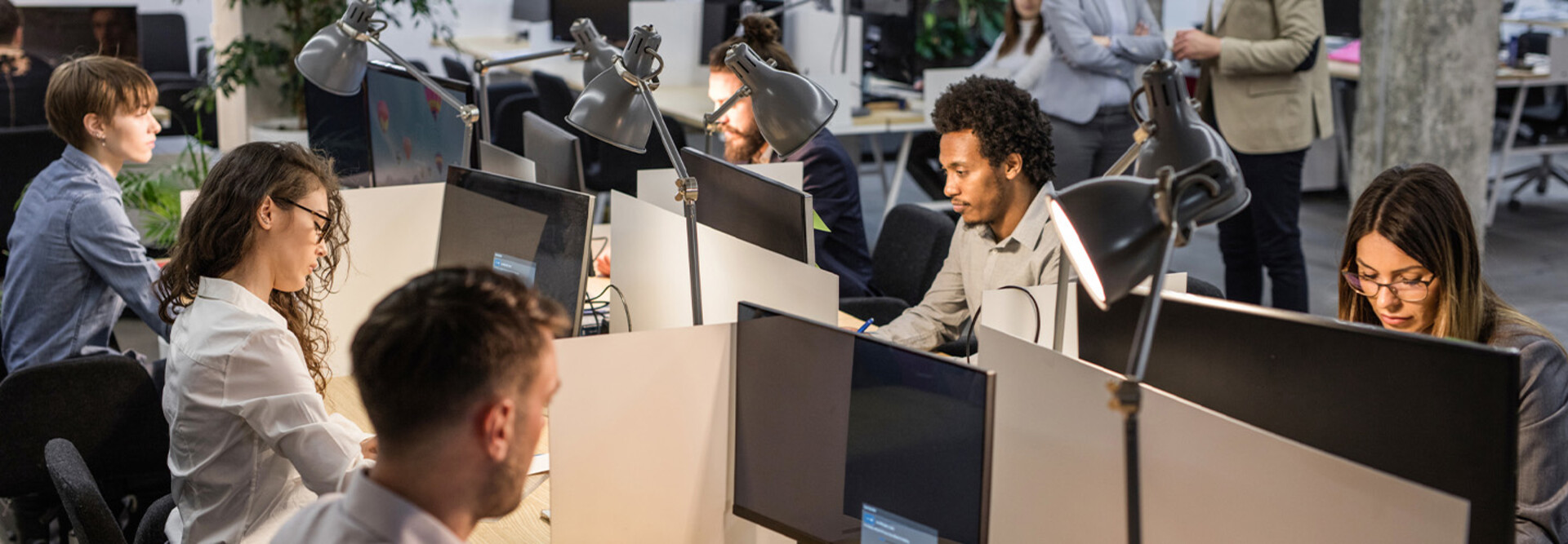 People working at computers