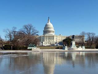 The U.S. Capitol Building during winter. 