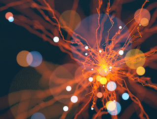 AI in the federal government 