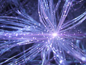 Purple neural network