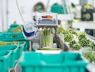 blockchain food safety