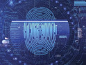 Biometric identity 