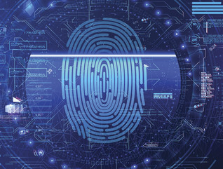 Biometric identity 