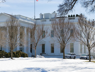 White House 