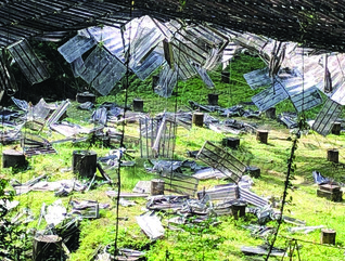 Rubble on top of grassy land