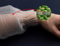 Chips inside a thin fiber can monitor vital signs when the fiber is sewn into cloth.
