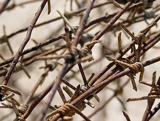 Cyber-physical security