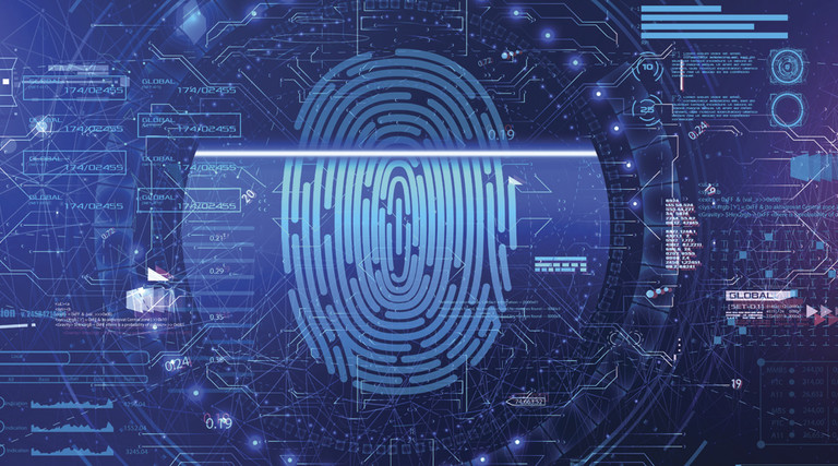 Biometric identity 