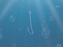 Phishing illustration of hooks under water 