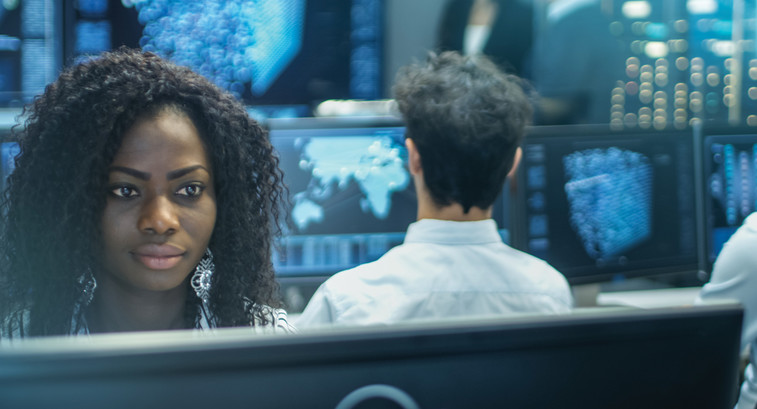 Government technology workers 