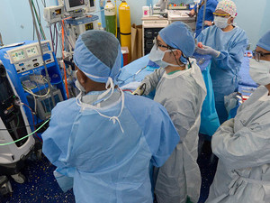 Federal doctors in surgery