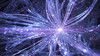 Purple neural network